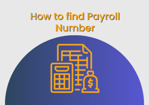 how to find payroll number - Accountancy Net